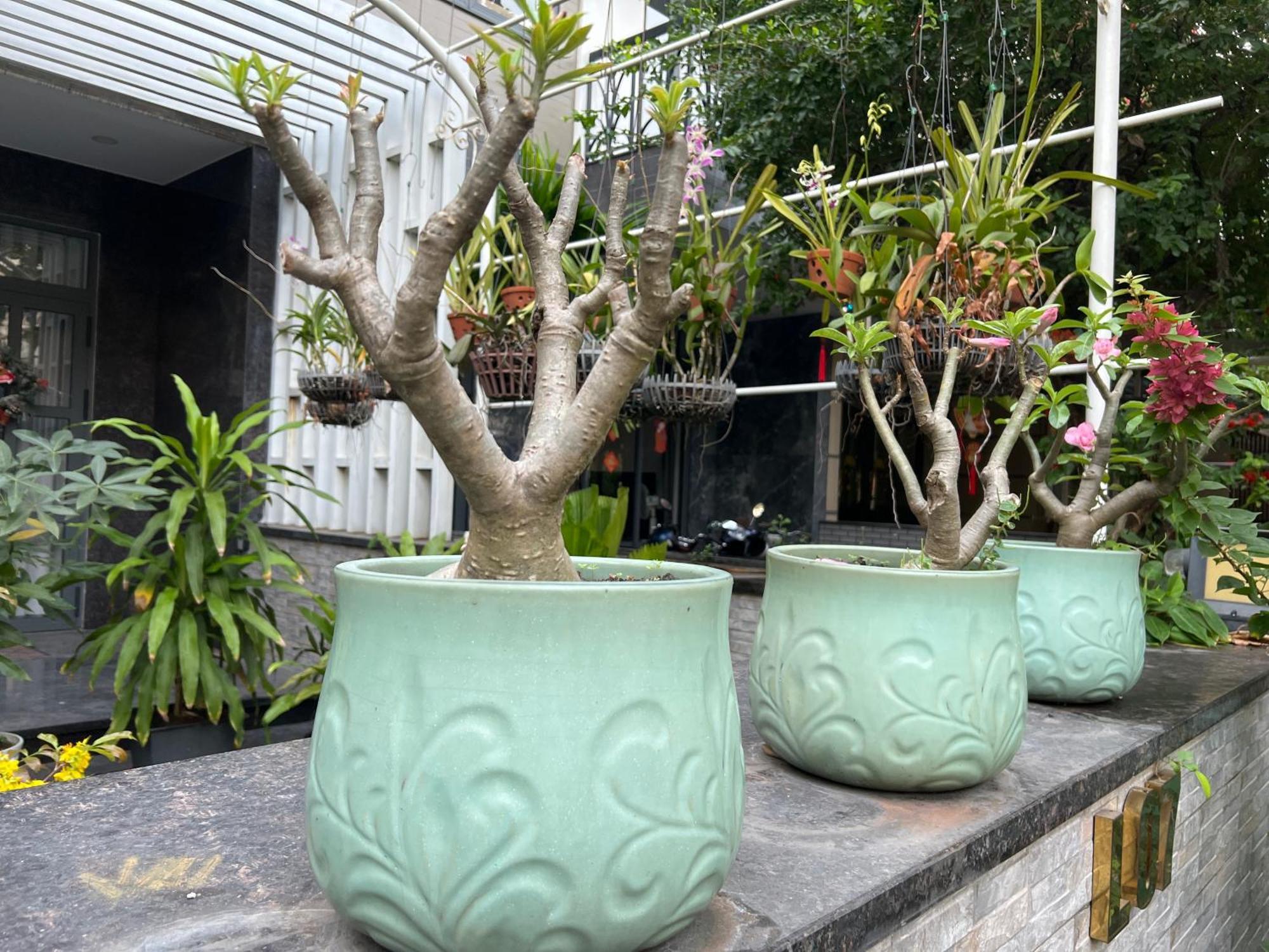 Home Resort With Full Amenities Ho Chi Minh-Byen Eksteriør billede